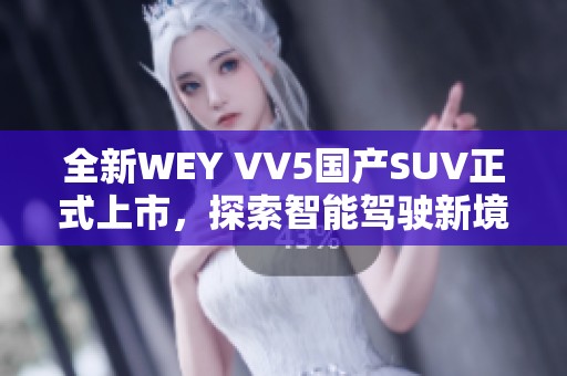 全新WEY VV5國產(chǎn)SUV正式上市，探索智能駕駛新境界