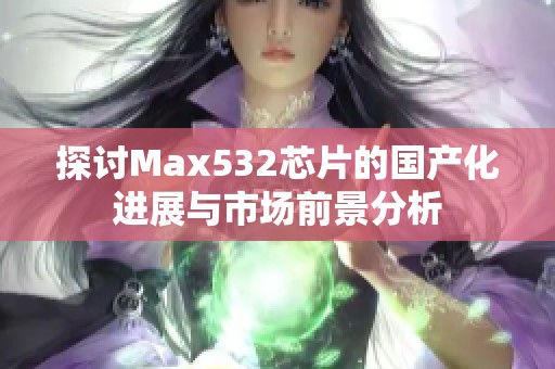 探討Max532芯片的國產(chǎn)化進(jìn)展與市場前景分析