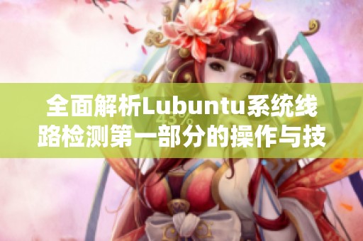 全面解析Lubuntu系統(tǒng)線路檢測第一部分的操作與技巧