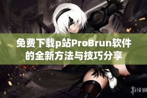 免費(fèi)下載p站ProBrun軟件的全新方法與技巧分享