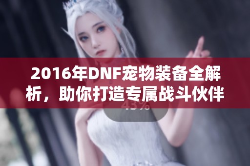 2016年DNF寵物裝備全解析，助你打造專屬戰(zhàn)斗伙伴！